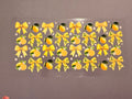 Lemon and bows