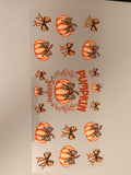 Pumpkin season
